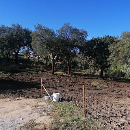 Casas De Marvao - Quinta Da Bela Vista Villa Eksteriør bilde